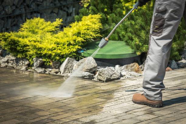 Best Winterizing Services  in Bayonet Point, FL