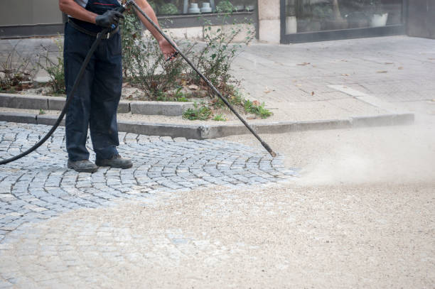 Best Dumpster Area Cleaning  in Bayonet Point, FL