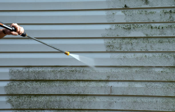 Best Gutter Cleaning  in Bayonet Point, FL